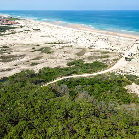 Grande Maison Landaise Avec Piscine Privee, Proche Plage, Pour 8 Personnes A - Fr-1-319-398 Villa Biscarrosse-Plage